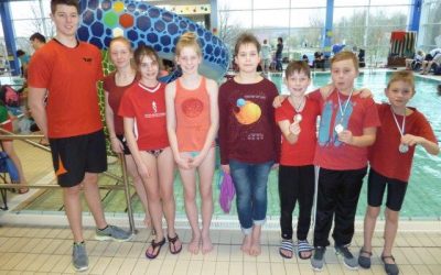 Hervorragender Einstand für die TVE  Kinder- und Jugendschwimmer auf der Kreismeisterschaft am 3.2.18 in Oelde